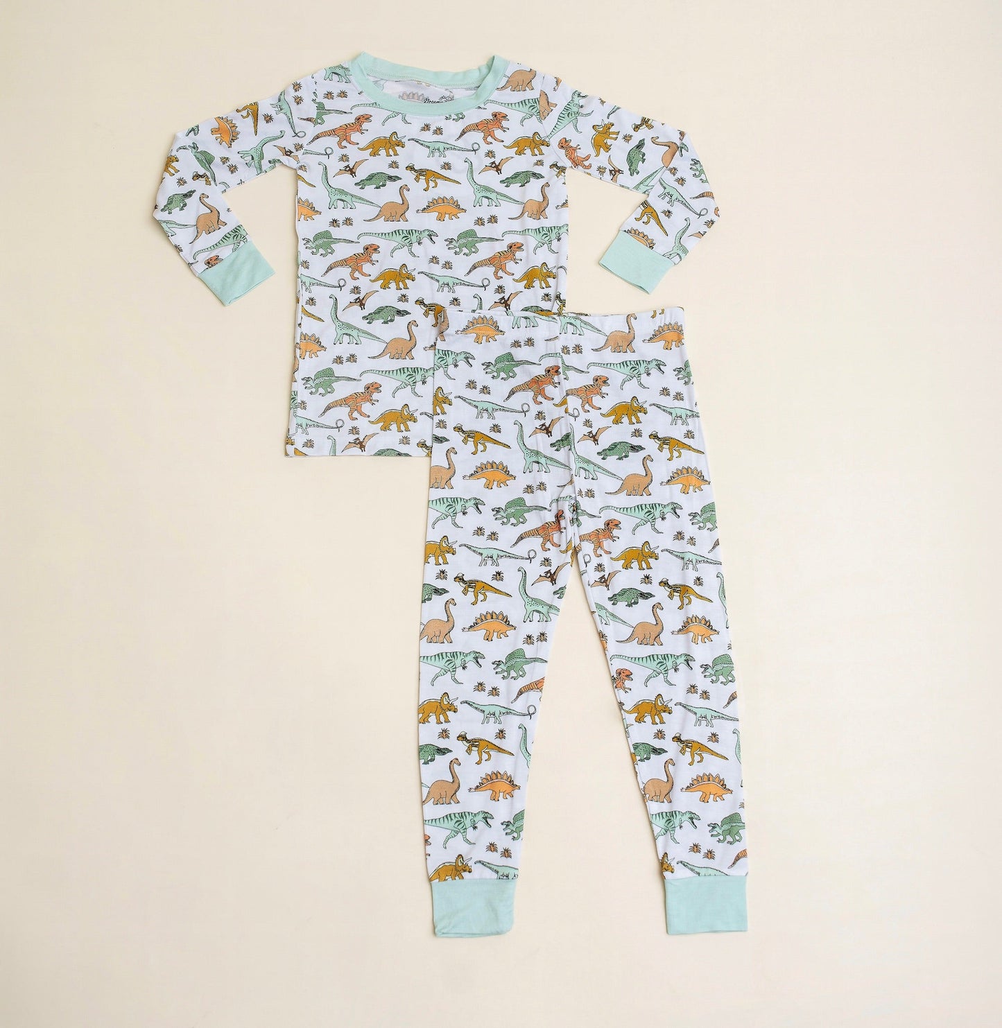 DINOSAUR DREAM SET